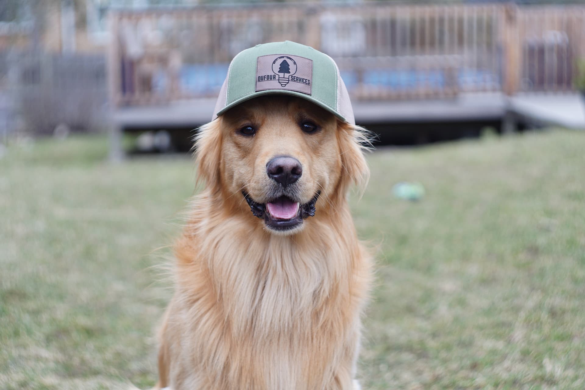 Dufour Services - Meet our four-legged quality inspector!