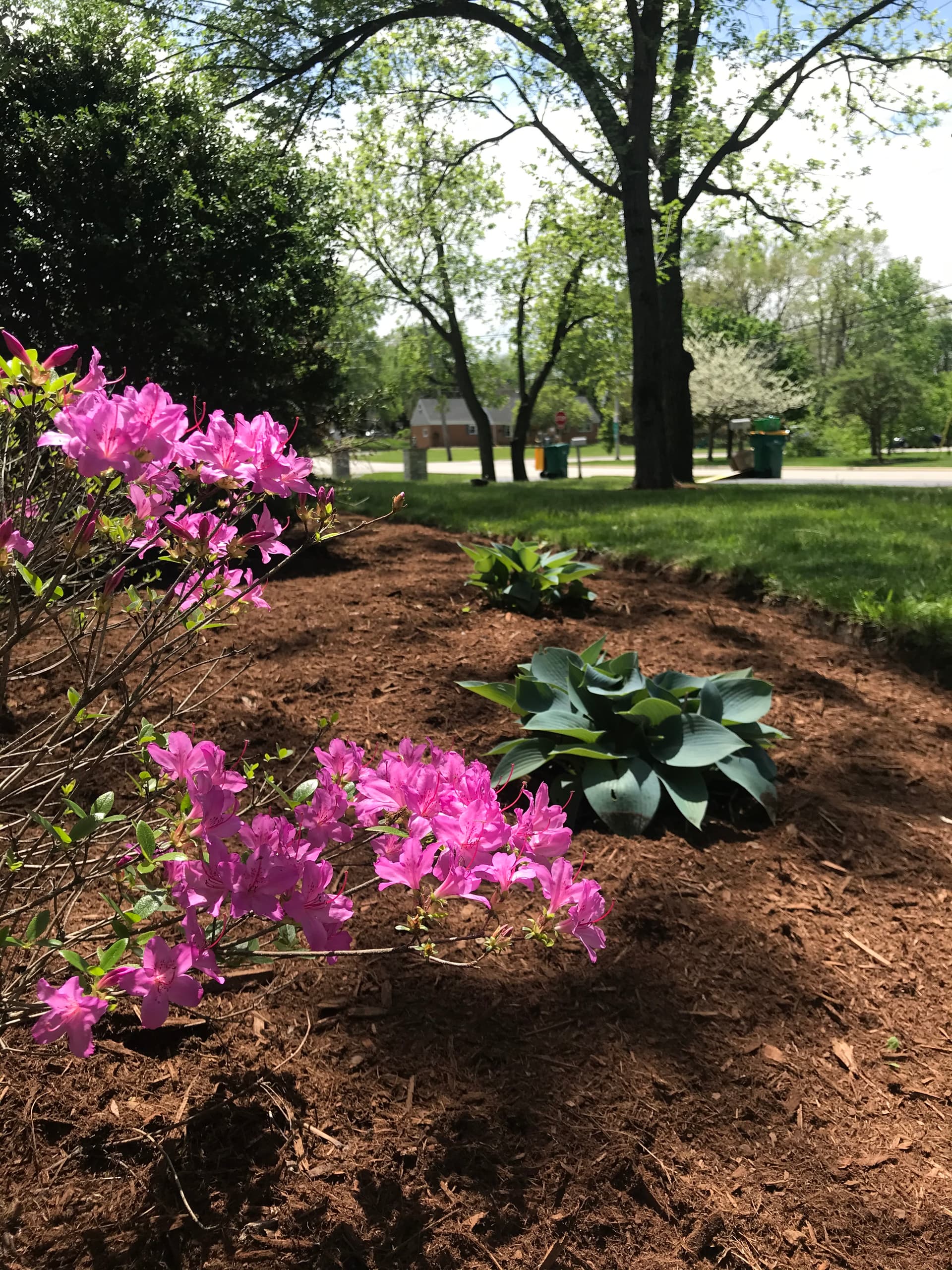 Mulch installation service
